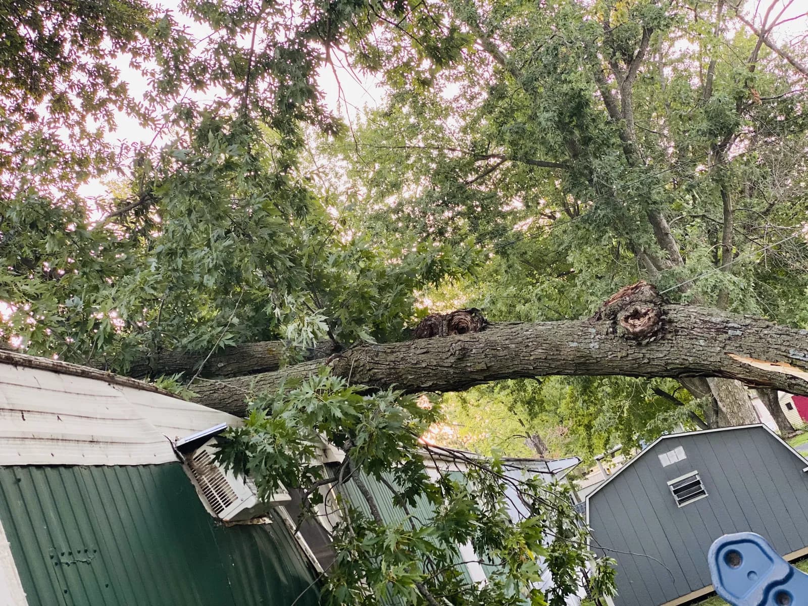 Fallen-tree storm damage before ORC repair in Cedar Rapids